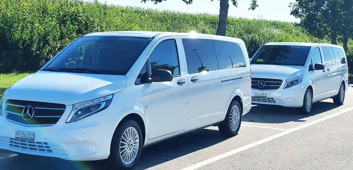 mercedes white minivan transfer