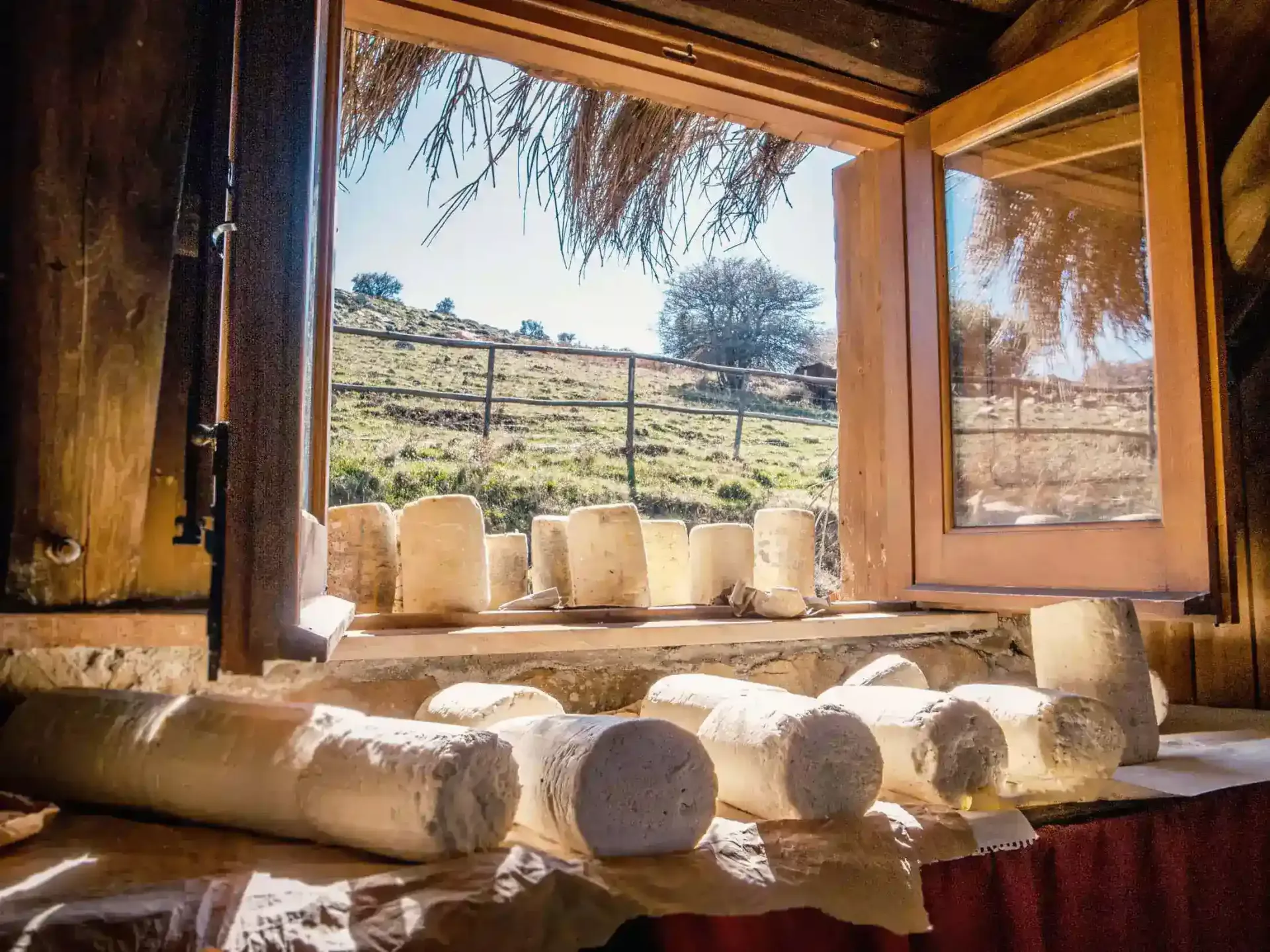 cheese-festival-in-bern