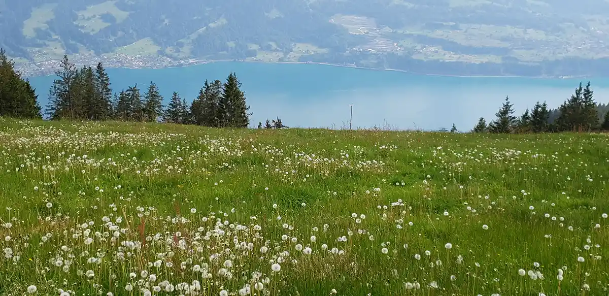 unspoiled-nature-of-switzerland